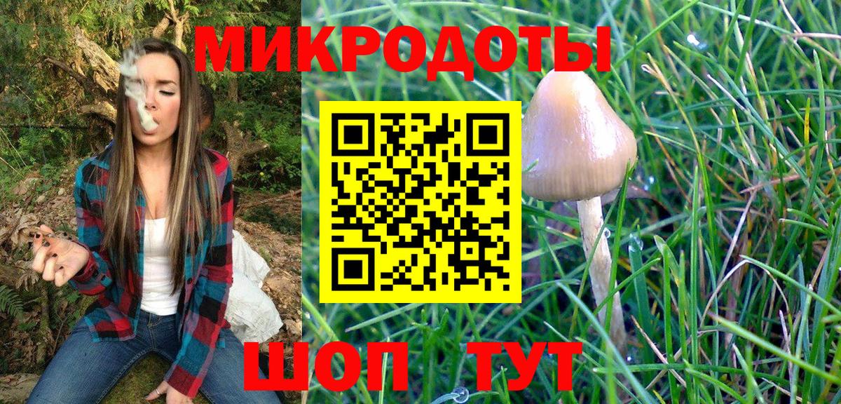 Галлюциногенные грибы Psilocybine cubensis  Вход с VPN  Зима  Галлюциногенные грибы мухоморы 